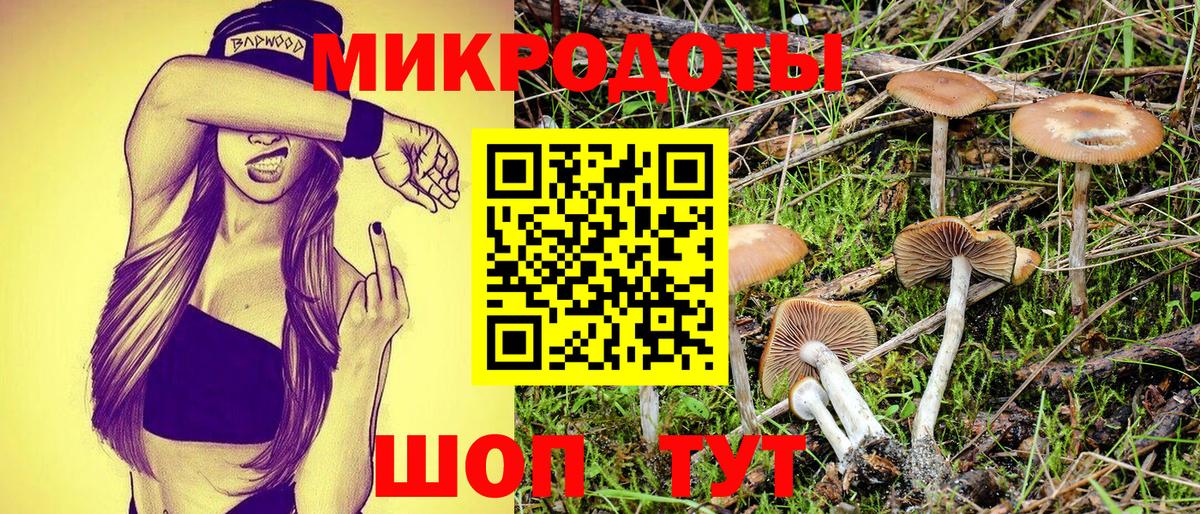 Псилоцибиновые грибы прущие грибы Кубинка