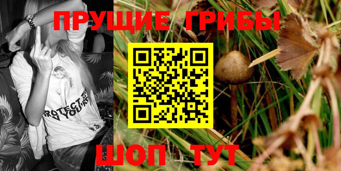Галлюциногенные грибы MAGIC MUSHROOMS  Вход с VPN  Кубинка 